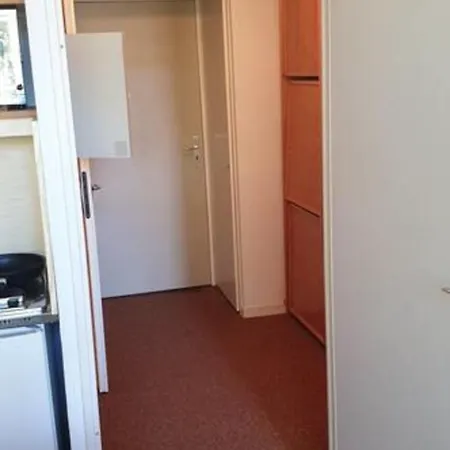 Duplex Lumineux Et Spacieux En Plein Centre Bourg